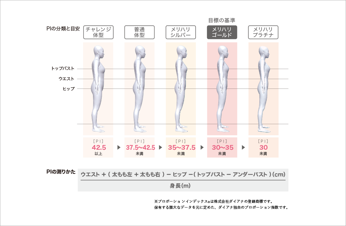 プロポーションづくり プロポーションづくりのダイアナ